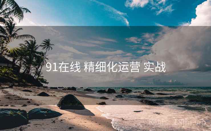 91在线 精细化运营 实战 第2张 91在线 精细化运营 实战 第2张
