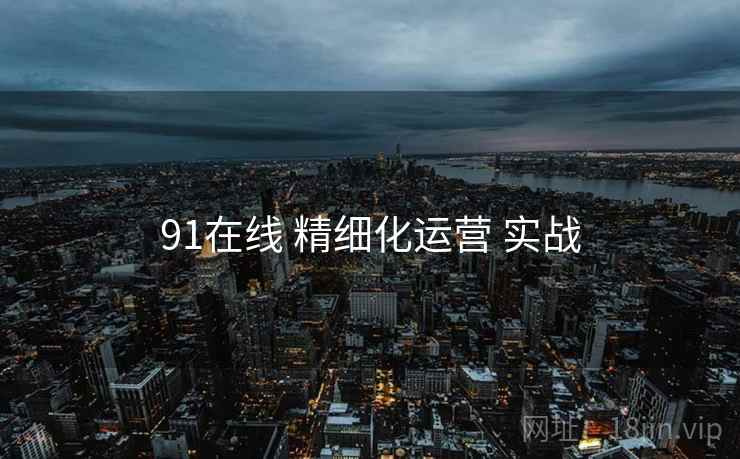 91在线 精细化运营 实战 第1张 91在线 精细化运营 实战 第1张