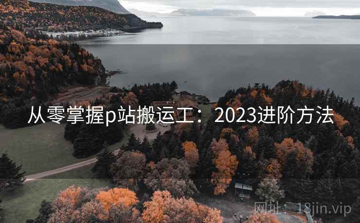 从零掌握p站搬运工:2023进阶方法 第2张 从零掌握p站搬运工:2023进阶方法 第2张