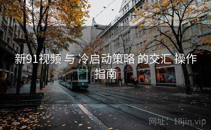 新91视频 与 冷启动策略 的交汇 操作指南 第2张 新91视频 与 冷启动策略 的交汇 操作指南 第2张