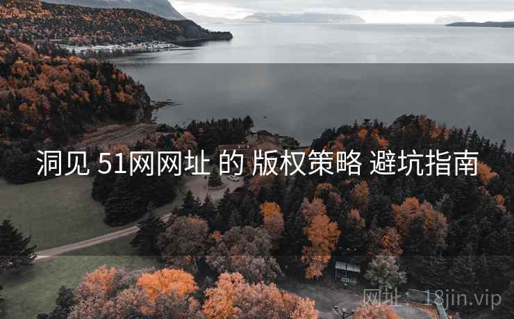 洞见 51网网址 的 版权策略 避坑指南 第2张 洞见 51网网址 的 版权策略 避坑指南 第2张