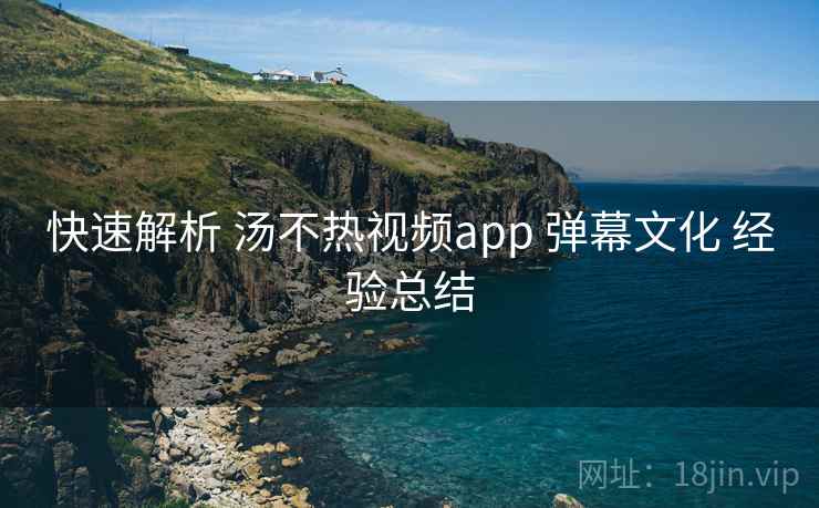 快速解析 汤不热视频app 弹幕文化 经验总结 第2张 快速解析 汤不热视频app 弹幕文化 经验总结 第2张